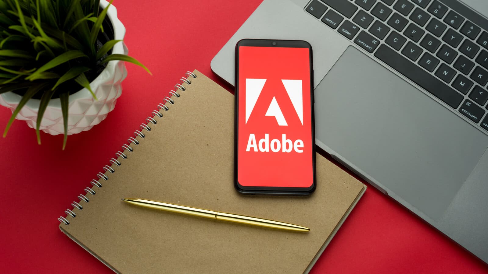 adobe logo auf einem smartphone
