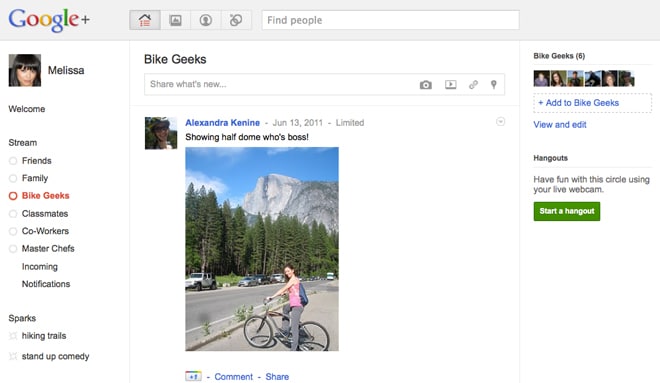 ein Screenshot aus der Google + Plattform.
